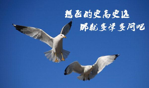 �ÌW(xu��)�Æ��ǃ�(y��u)��I(y��)��(w��)�T����Ҫ����